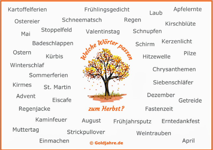 screenshot_20241023-1821212